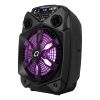 Artis BT101 20W Portable 5.0 Bluetooth Party Speaker with FM/USB/TF Card & Wired Mic