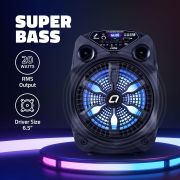 Artis BT101 20W Portable 5.0 Bluetooth Party Speaker with FM/USB/TF Card & Wired Mic