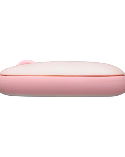 Rapoo M650 Silent Multi-mode Wireless Mouse