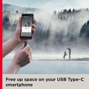 SanDisk Ultra Dual Drive Go usb3.0 Type C Pendrive for Mobile/Tab/PC/Laptop