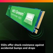 Western Digital WD Green SN350 NVMe SSD 250GB/500GB/1TB/2TB NVMe SSD