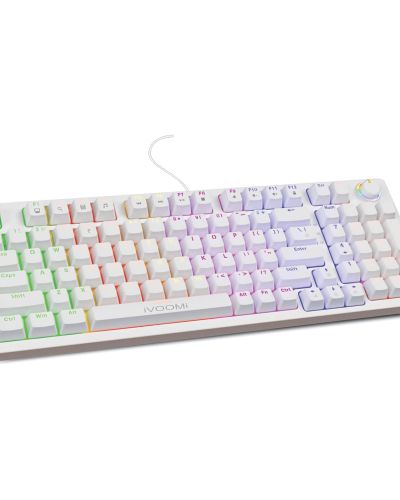 iVOOMi Keyboard Tucker Mechanical switches | BIS Approved |13 Rainbow Backlight |25 Anti-Ghosting Keys |Windows Lock Function | Volume Knob | Compatible with Win/Mac/Linux | 1-Year Warranty