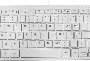 Venom Wired Compact Keyboard (White)
